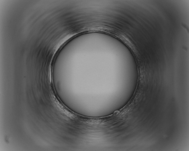 X0000103231036200809111525