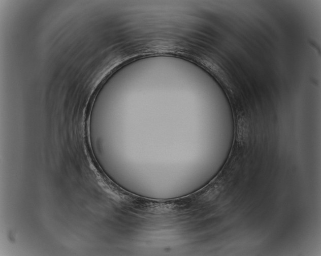 X0000103231039200809111525