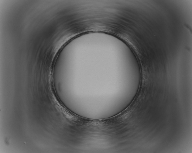 X0000103231040200809111525