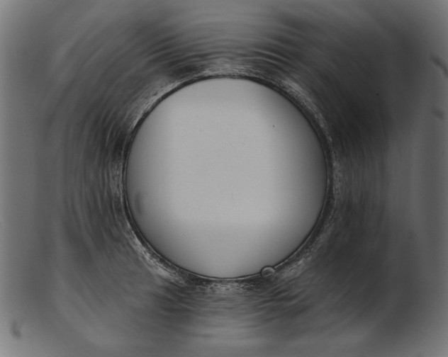 X0000103231041200809111525
