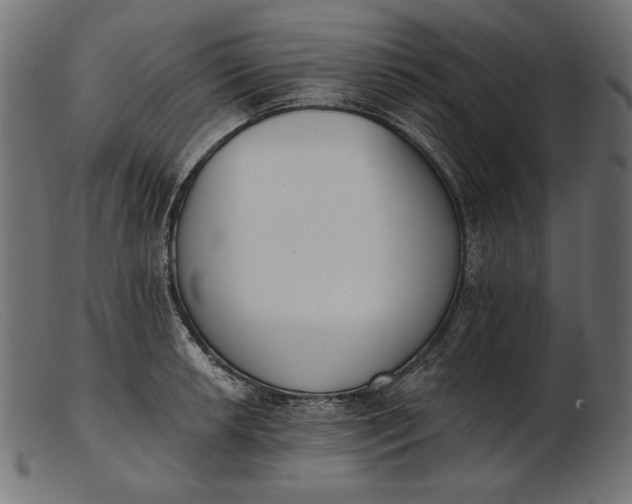 X0000103231042200809111525