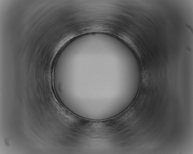 X0000103231043200809111525