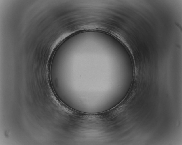 X0000103231045200809111525