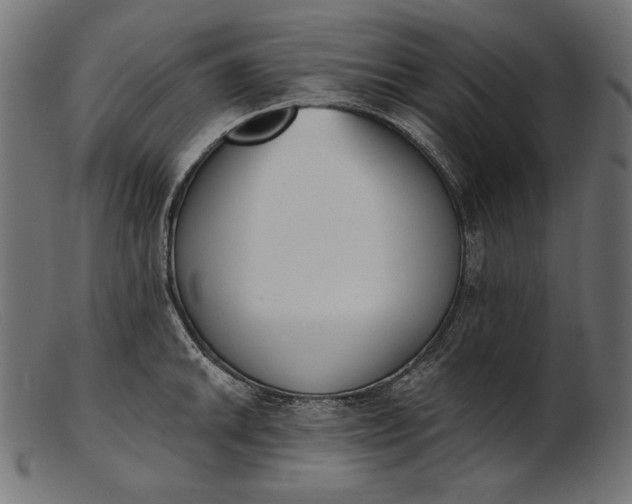 X0000103231046200809111525