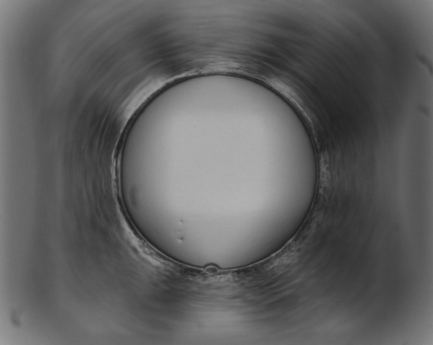 X0000103231047200809111525