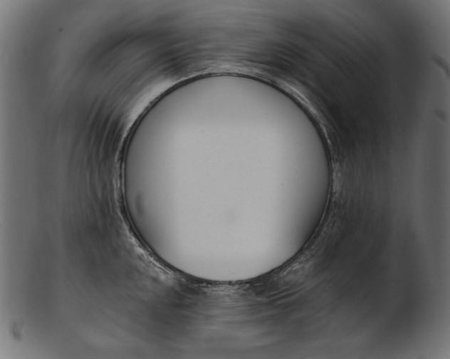 X0000103231048200809111525