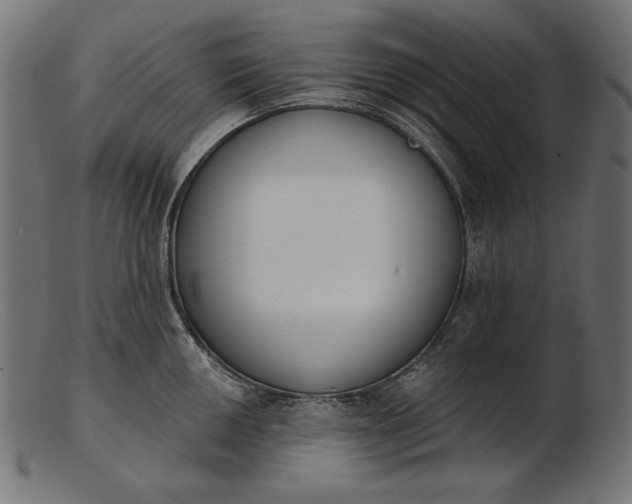 X0000103231050200809111526