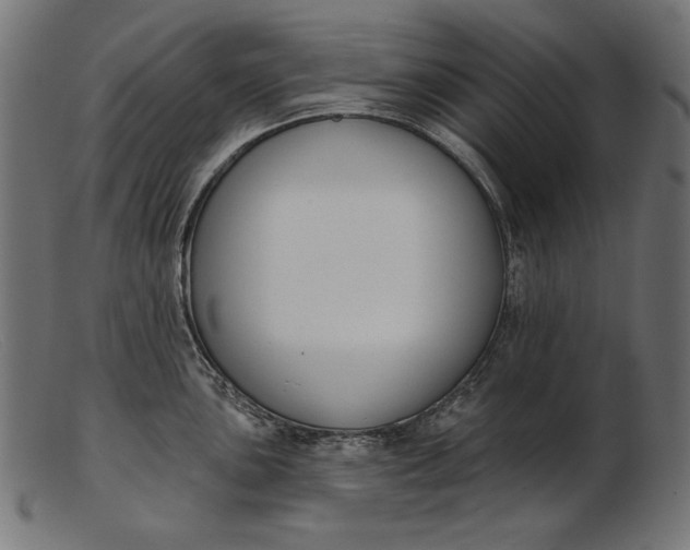 X0000103231051200809111526