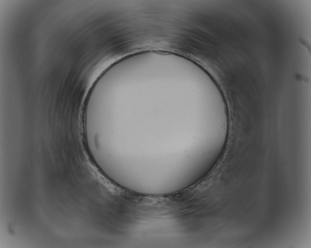 X0000103231056200809111526