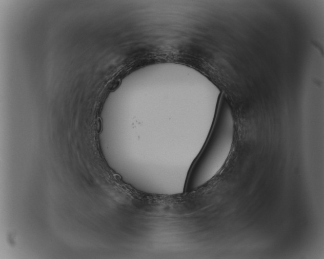 X0000103231057200809111525