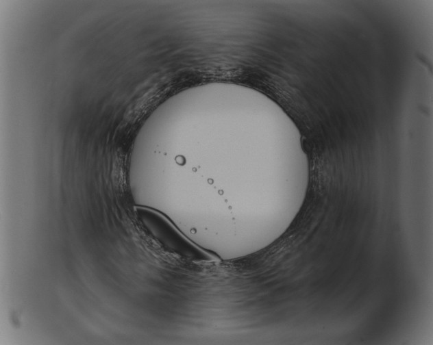 X0000103231058200809111525