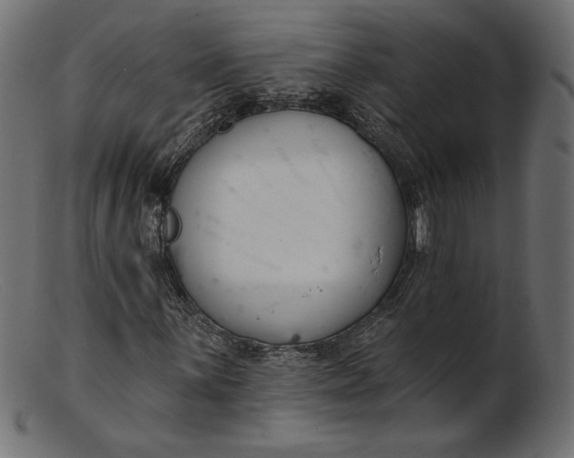X0000103231059200809111525