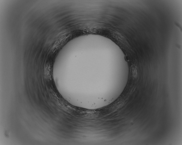 X0000103231060200809111525