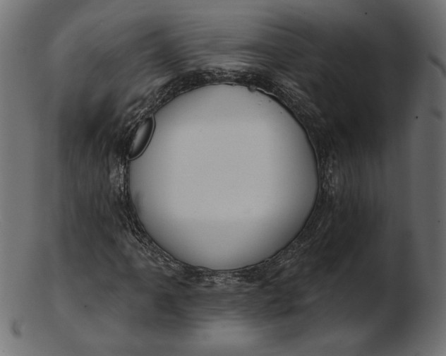 X0000103231061200809111525