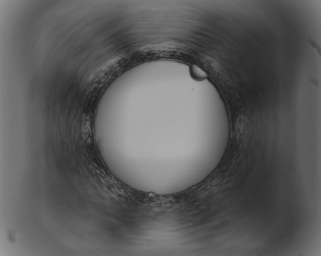 X0000103231062200809111525