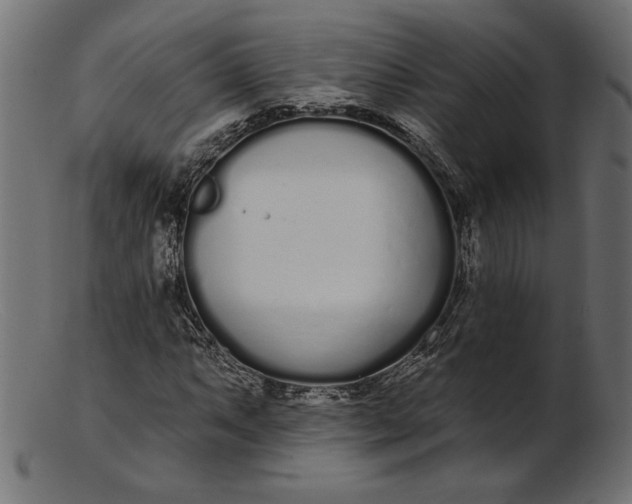 X0000103231063200809111525