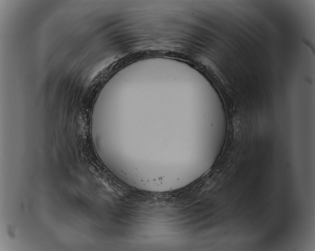 X0000103231064200809111525