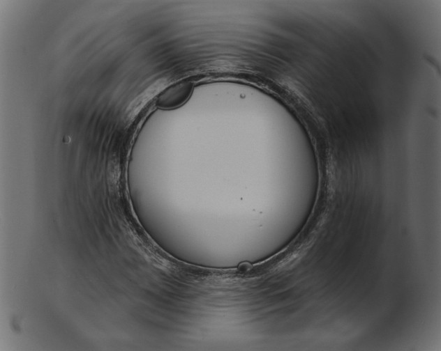 X0000103231065200809111525
