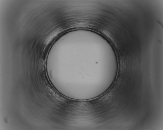 X0000103231067200809111525