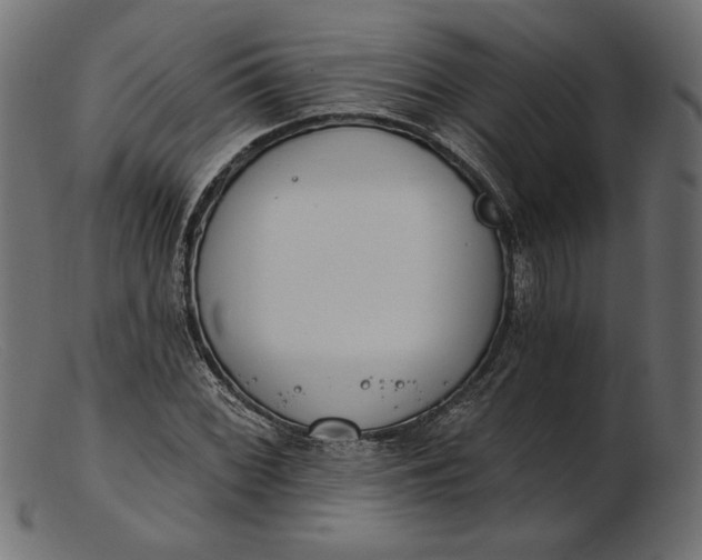 X0000103231068200809111525