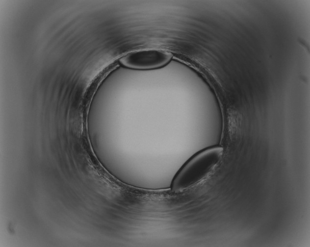 X0000103231069200809111525
