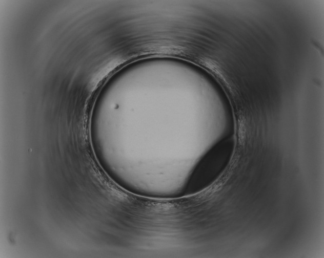 X0000103231071200809111525