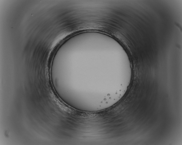 X0000103231072200809111525