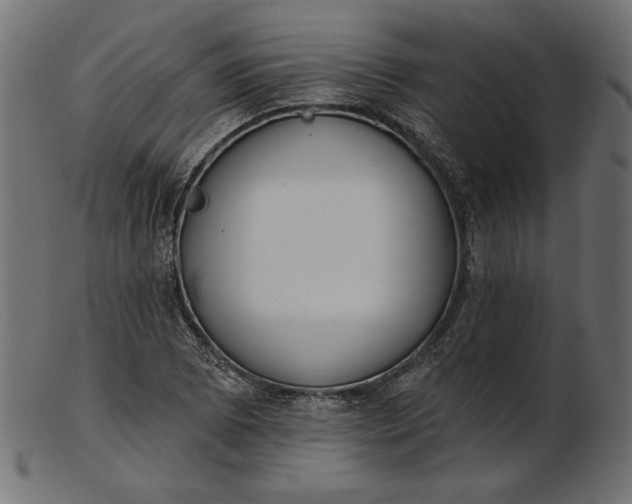X0000103231073200809111525