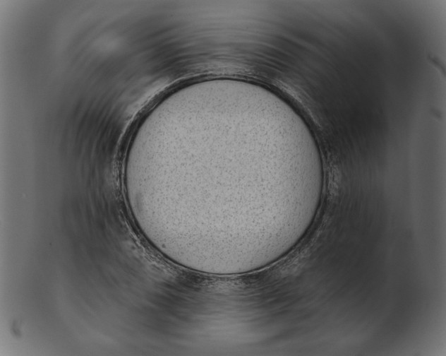X0000103231074200809111525
