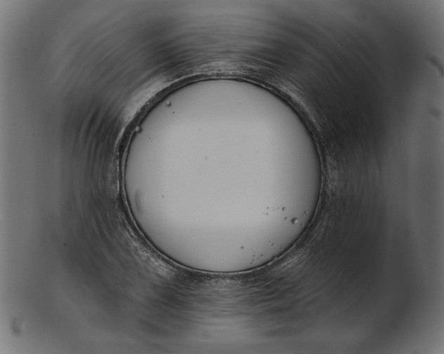 X0000103231075200809111525