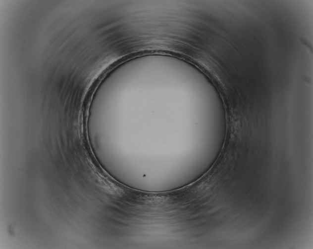 X0000103231076200809111525