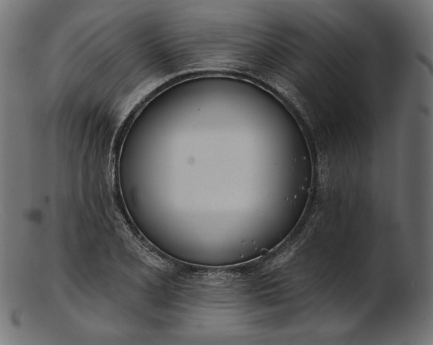 X0000103231077200809111525