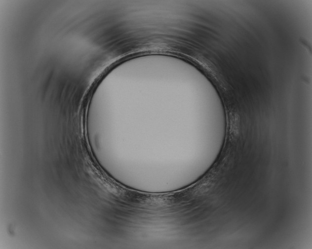 X0000103231078200809111525