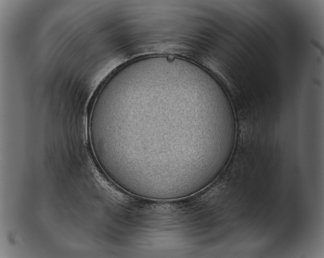 X0000103231079200809111525