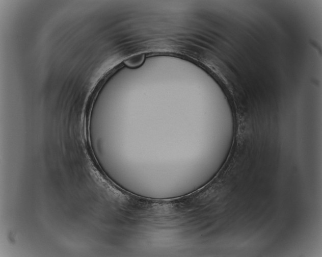 X0000103231080200809111525