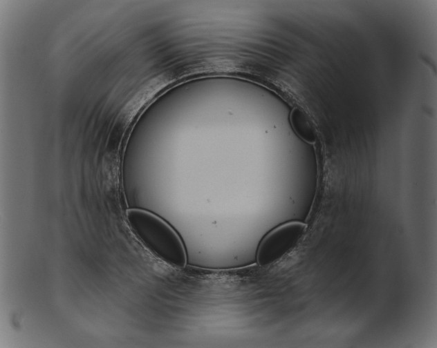 X0000103231081200809111525