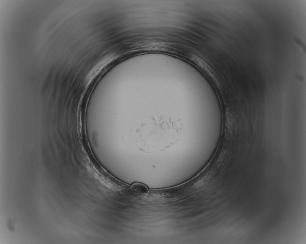 X0000103231082200809111525