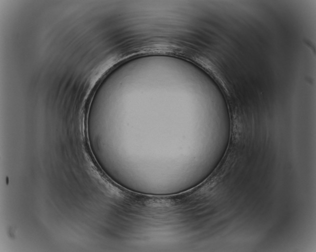 X0000103231083200809111525