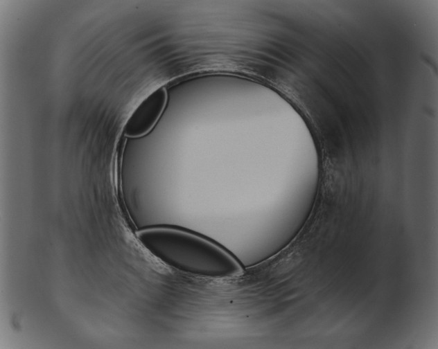 X0000103231084200809111525