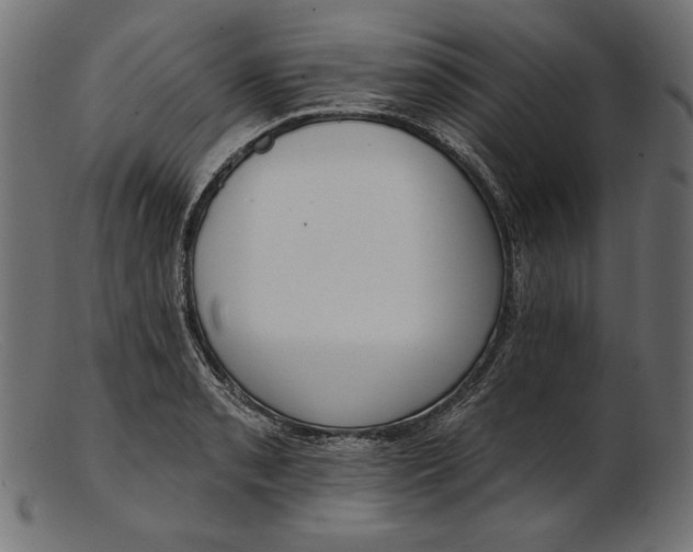 X0000103231085200809111525
