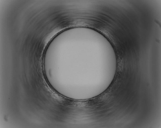 X0000103231086200809111525
