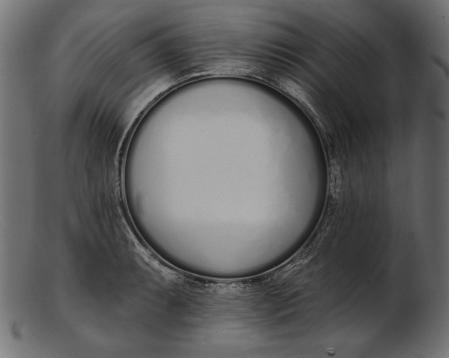 X0000103231087200809111525
