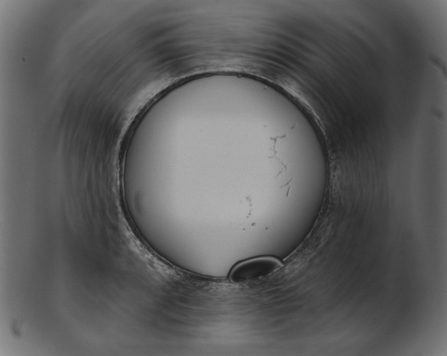 X0000103231088200809111525