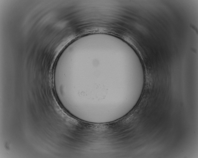 X0000103231090200809111524