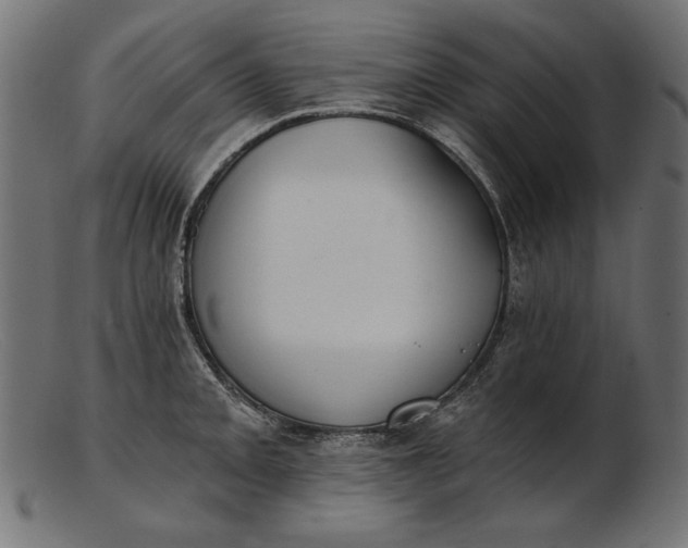 X0000103231093200809111524