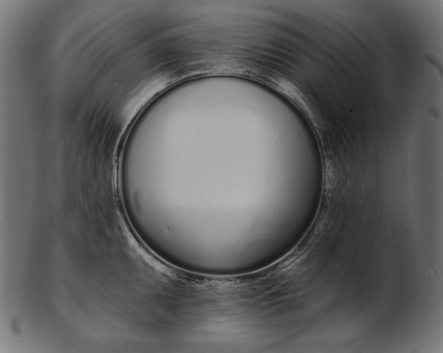 X0000103231095200809111524