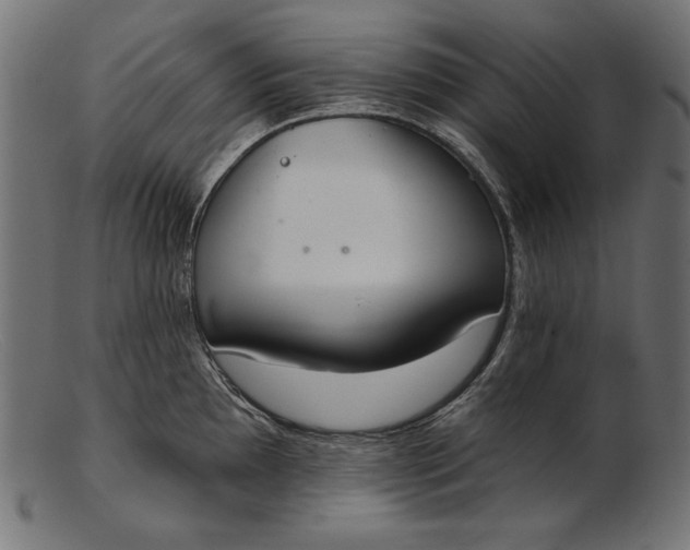 X0000103231097200809111524