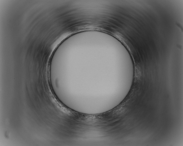 X0000103231098200809111524