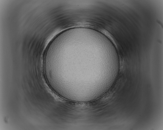X0000103231099200809111524