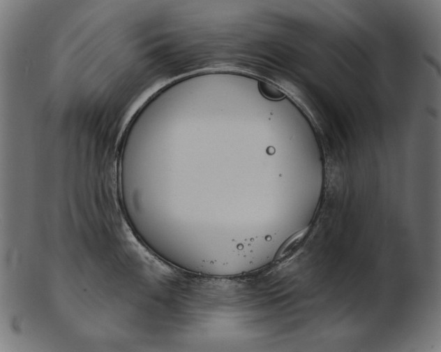 X0000103231100200809111524